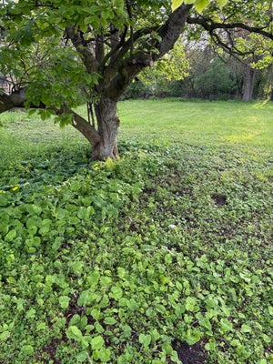 13526 S KEDZIE AVE, ROBBINS, IL 60472 - Image afefe34adae8fd5f84ef8cfa125feaef/3686390977