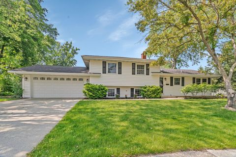 308 Tamarack Avenue Naperville IL 60540