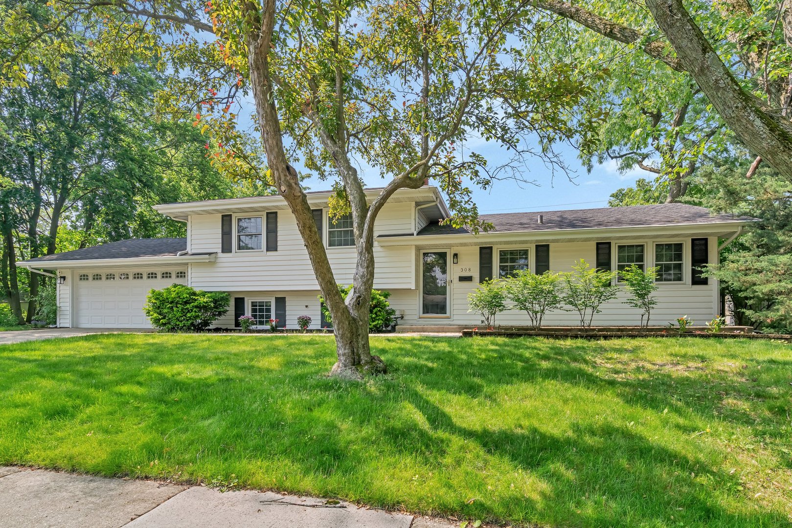 308 Tamarack Avenue