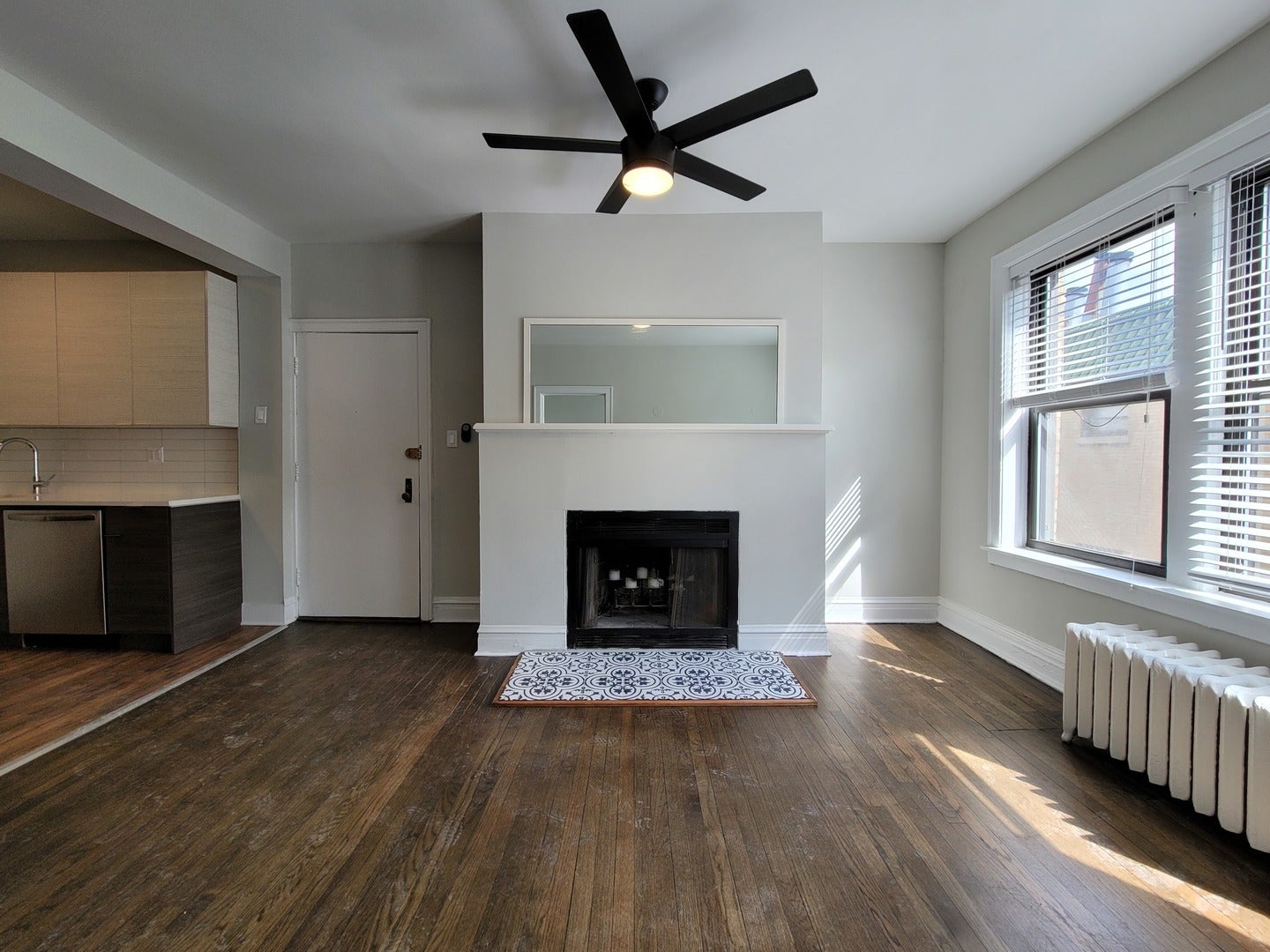 641 W ROSCOE Street V3
