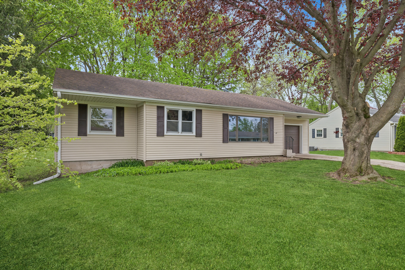 821 Diane Court