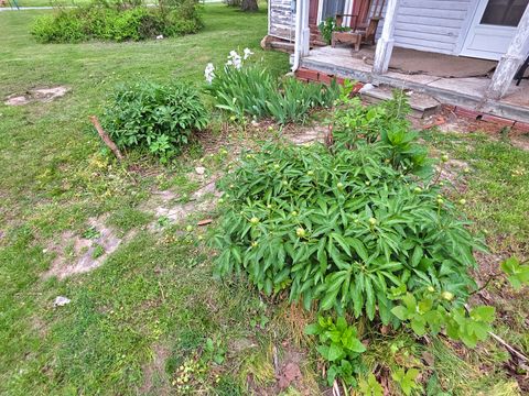 Tiny photo for 202 E Park Street, Sailor Springs, IL 62879 (MLS # 12619953)