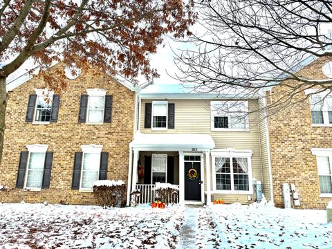 303 Springbrook Trail S Oswego IL 60543