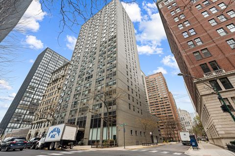 253 E DELAWARE Place 14D Chicago IL 60611
