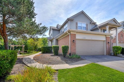 Photo of 279 BLUE SPRUCE Lane #0, Glendale Heights, IL 60139 (MLS # 12494940) Photo of 279 BLUE SPRUCE Lane #0, Glendale Heights, IL 60139 (MLS # 12494940)