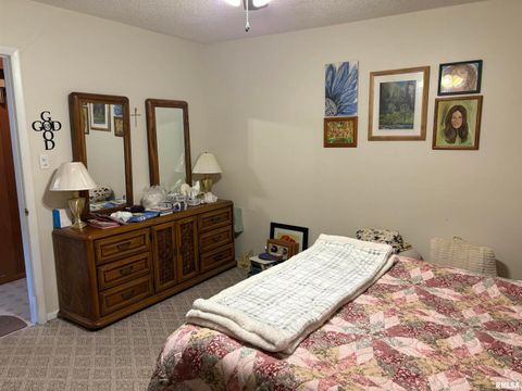 Tiny photo for 714 CEDAR Street, Centralia, IL 62801 (MLS # EB460260)