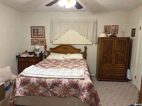 Tiny photo for 714 CEDAR Street, Centralia, IL 62801 (MLS # EB460260)