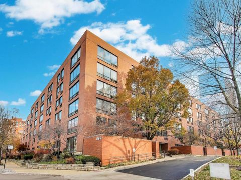 1169 S Plymouth Court 114 Chicago IL 60605