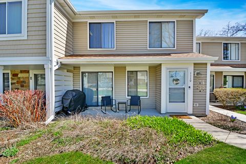 1110 Eisenhower Court Vernon Hills IL 60061