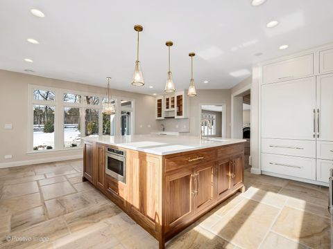 Tiny photo for 20 Natoma Drive, Oak Brook, IL 60523 (MLS # 12540582)