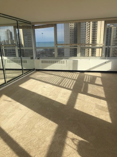 4800 S Chicago Beach Drive 1507S