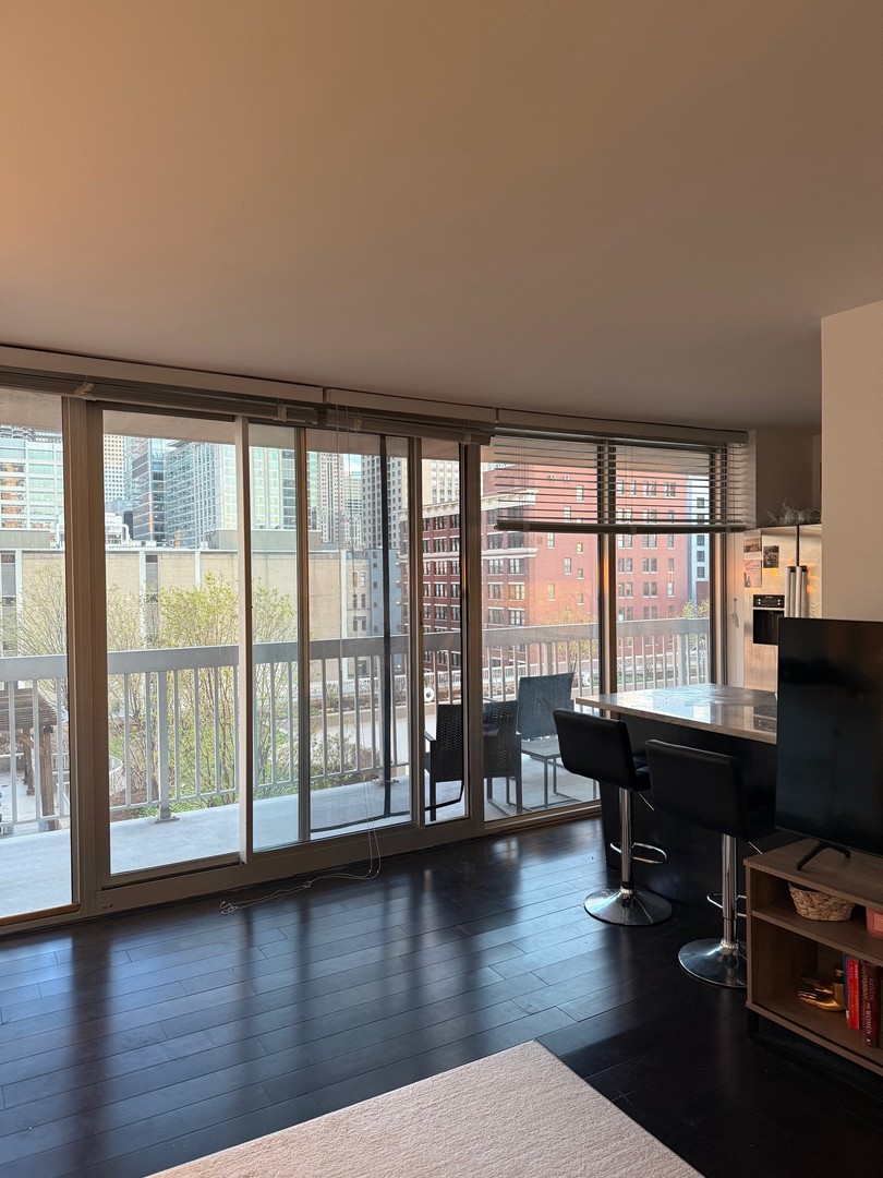 545 N Dearborn Street 1107