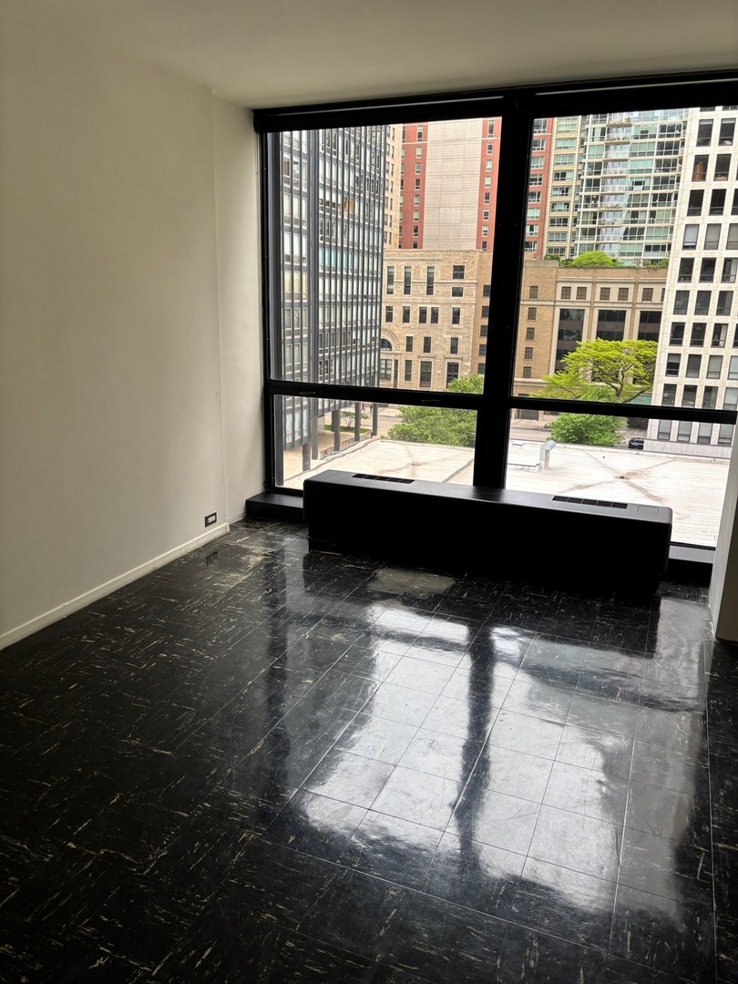 900 N Lake Shore Drive 708