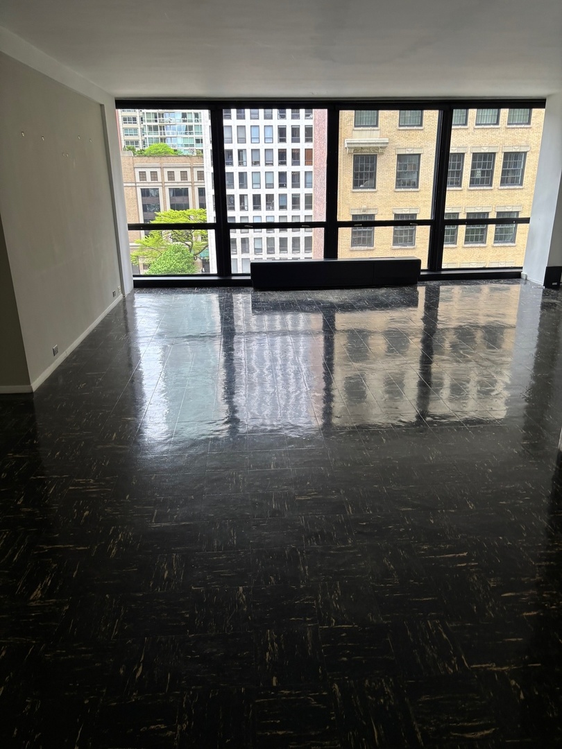 900 N Lake Shore Drive 708