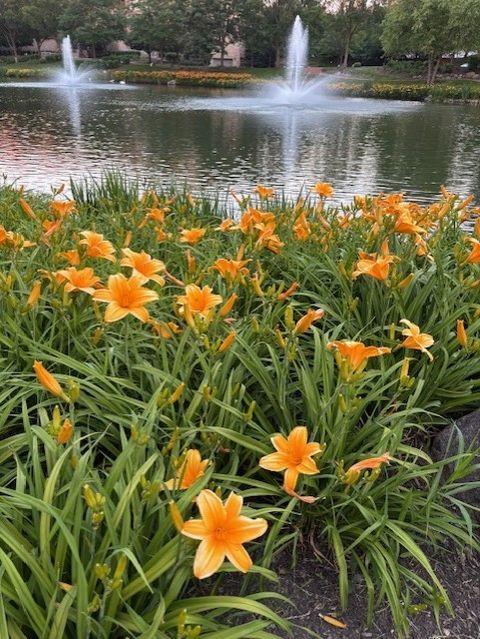 Tiny photo for 40 PRAIRIE PARK Drive #608, Wheeling, IL 60090 (MLS # 12613474)