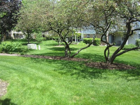 Tiny photo for 2862 Meadow Lane #x1, Schaumburg, IL 60193 (MLS # 12654925)
