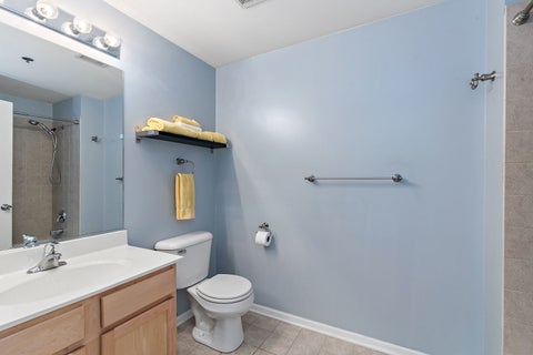 Tiny photo for 410 W Mahogany Court #202, Palatine, IL 60067 (MLS # 12772051)