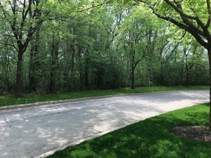 Lot 23 Wedgewood Drive