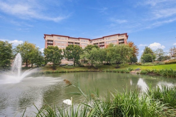 40 Prairie Park Drive 312
