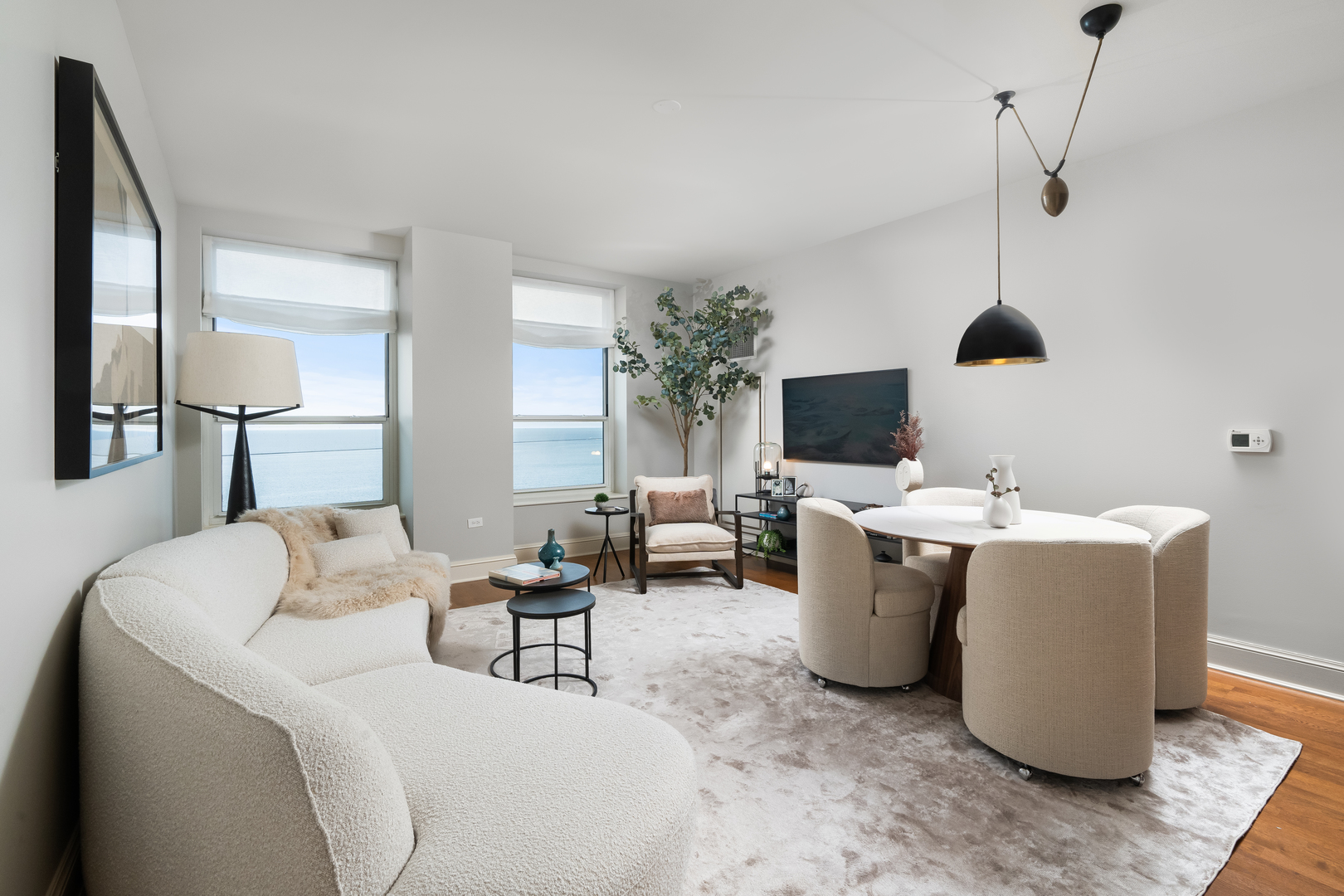850 N Lake Shore Drive 801