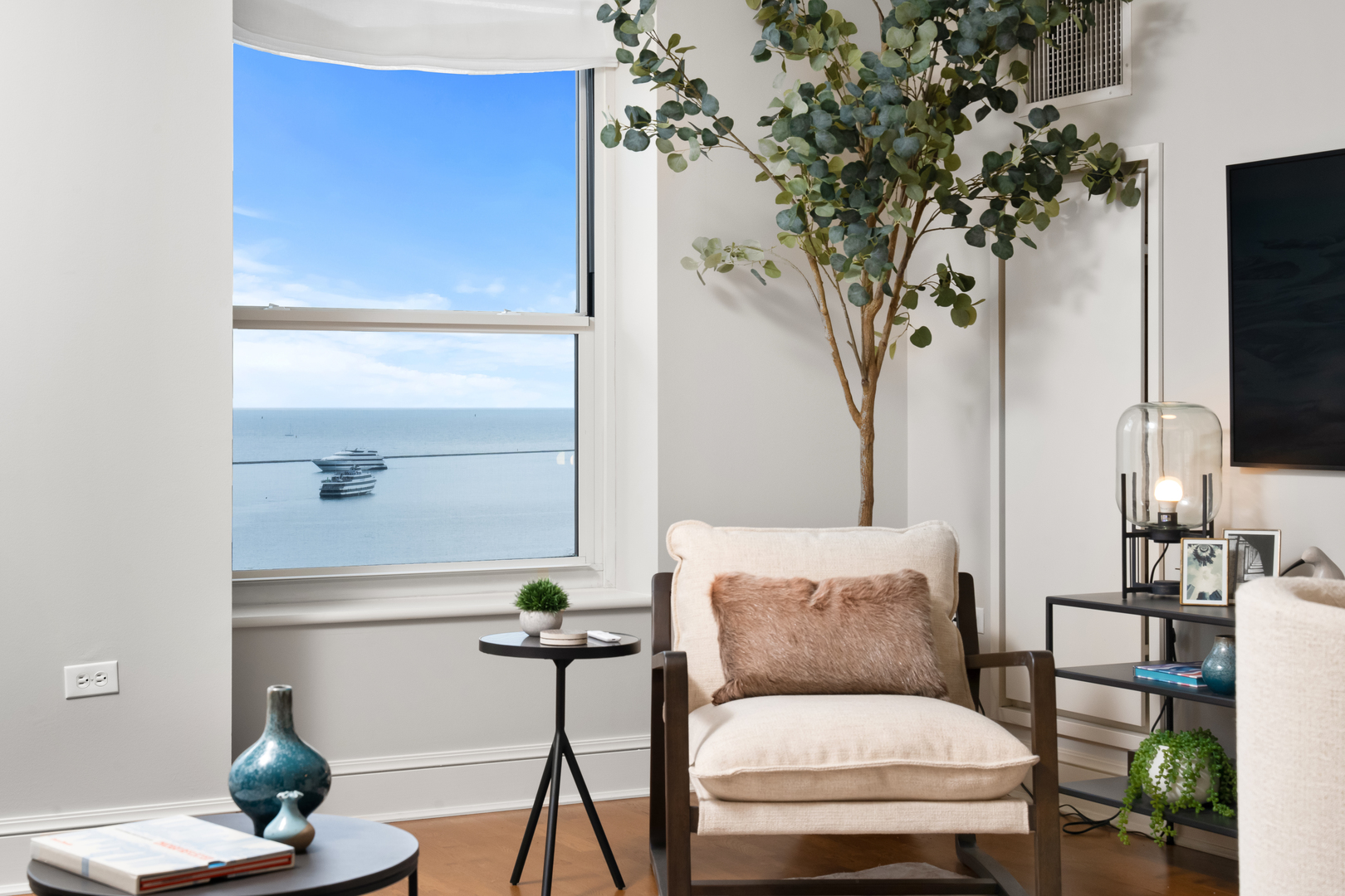 850 N Lake Shore Drive 801