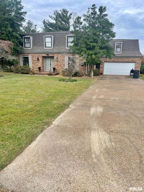Photo of 53 OLD ORCHARD Road, Metropolis, IL 62960 (MLS # EB460290)