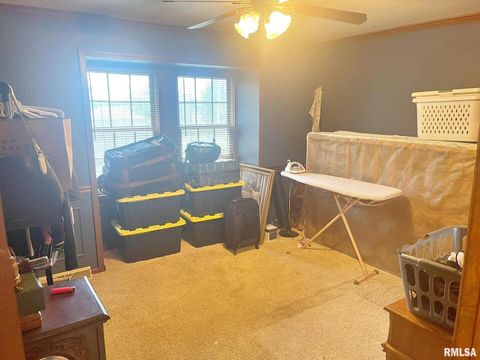 Tiny photo for 53 OLD ORCHARD Road, Metropolis, IL 62960 (MLS # EB460290)