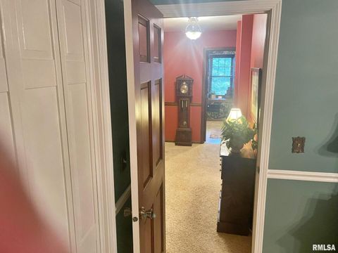 Tiny photo for 53 OLD ORCHARD Road, Metropolis, IL 62960 (MLS # EB460290)