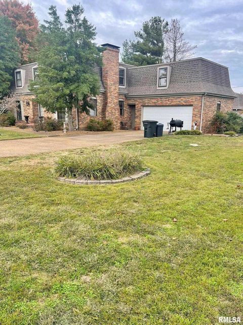 Tiny photo for 53 OLD ORCHARD Road, Metropolis, IL 62960 (MLS # EB460290)