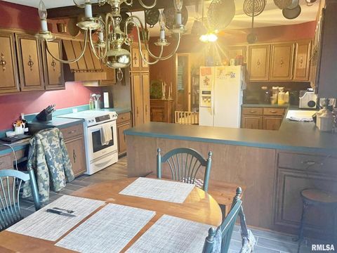 Tiny photo for 53 OLD ORCHARD Road, Metropolis, IL 62960 (MLS # EB460290)