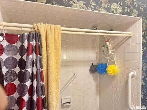 Tiny photo for 53 OLD ORCHARD Road, Metropolis, IL 62960 (MLS # EB460290)