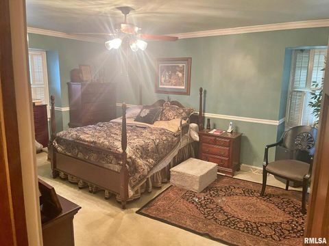 Tiny photo for 53 OLD ORCHARD Road, Metropolis, IL 62960 (MLS # EB460290)