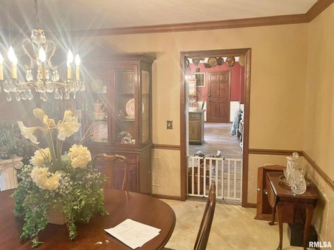 Tiny photo for 53 OLD ORCHARD Road, Metropolis, IL 62960 (MLS # EB460290)