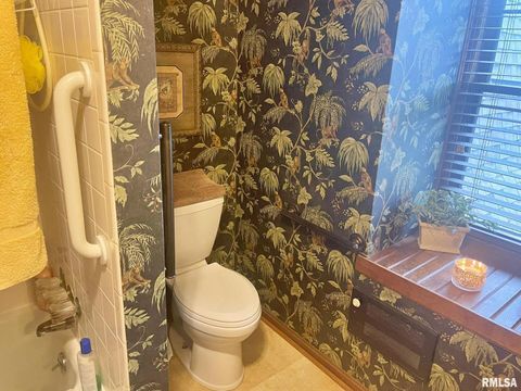 Tiny photo for 53 OLD ORCHARD Road, Metropolis, IL 62960 (MLS # EB460290)