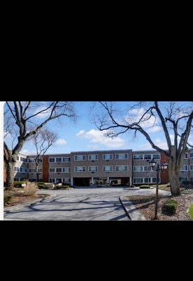 1141 LEAVITT AVE APT 115, FLOSSMOOR, IL 60422 - Image b0d09aef3f38249e036e30cbcf9770f0/3213369087