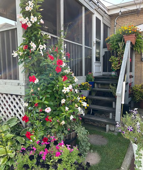 A home in Chicago