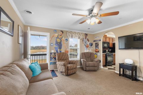 Tiny photo for 221 E Gore Street, Goreville, IL 62939 (MLS # EB460587)