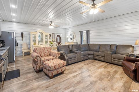 Tiny photo for 221 E Gore Street, Goreville, IL 62939 (MLS # EB460587)