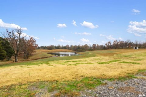 Tiny photo for 221 E Gore Street, Goreville, IL 62939 (MLS # EB460587)