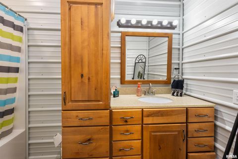 Tiny photo for 221 E Gore Street, Goreville, IL 62939 (MLS # EB460587)