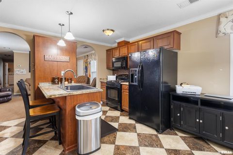 Tiny photo for 221 E Gore Street, Goreville, IL 62939 (MLS # EB460587)