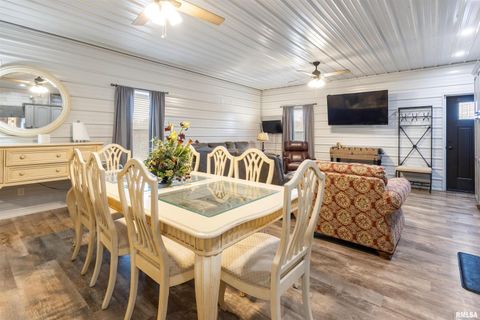 Tiny photo for 221 E Gore Street, Goreville, IL 62939 (MLS # EB460587)