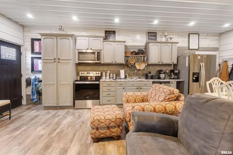 Tiny photo for 221 E Gore Street, Goreville, IL 62939 (MLS # EB460587)