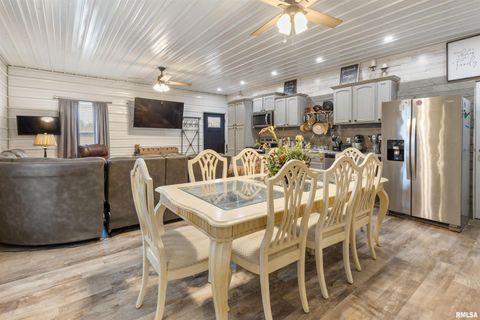 Tiny photo for 221 E Gore Street, Goreville, IL 62939 (MLS # EB460587)