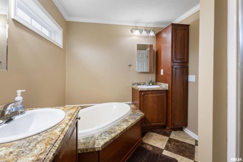 Tiny photo for 221 E Gore Street, Goreville, IL 62939 (MLS # EB460587)