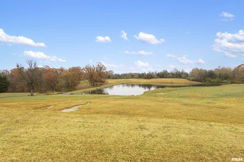 Tiny photo for 221 E Gore Street, Goreville, IL 62939 (MLS # EB460587)