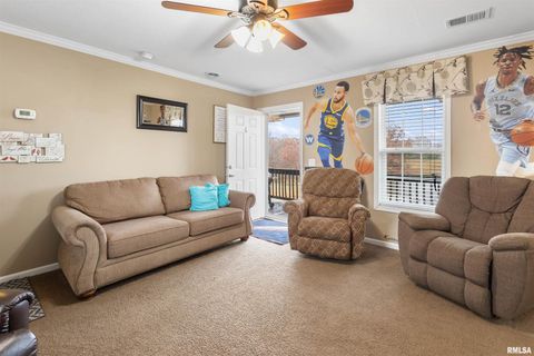 Tiny photo for 221 E Gore Street, Goreville, IL 62939 (MLS # EB460587)