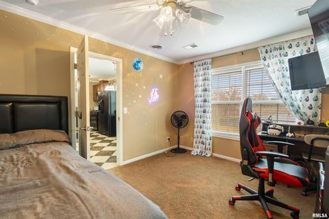 Tiny photo for 221 E Gore Street, Goreville, IL 62939 (MLS # EB460587)