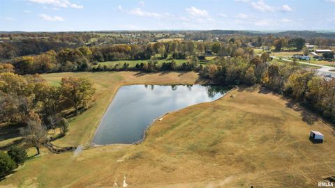 Tiny photo for 221 E Gore Street, Goreville, IL 62939 (MLS # EB460587)