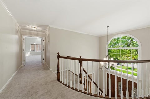 Tiny photo for 230 Persimmon Drive, St. Charles, IL 60174 (MLS # 12659052)